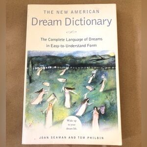 The New American Dream Dictionary Soft Cover